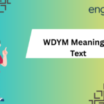 WDYM Meaning in Text