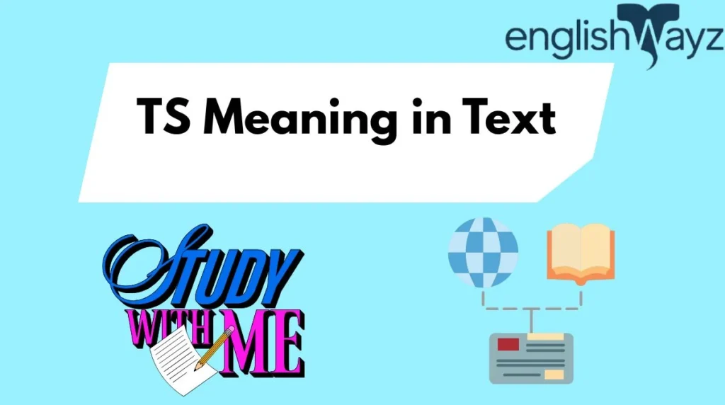 TS Meaning in Text