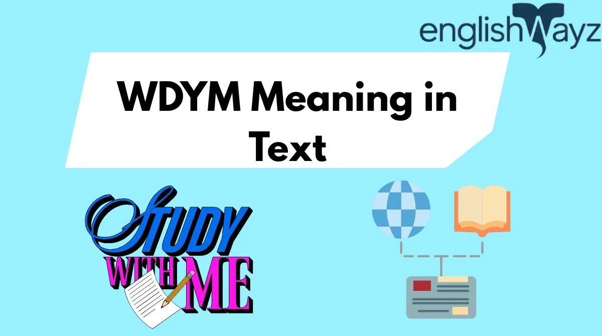 WDYM Meaning in Text